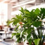 Espacio de trabajo moderno y creativo