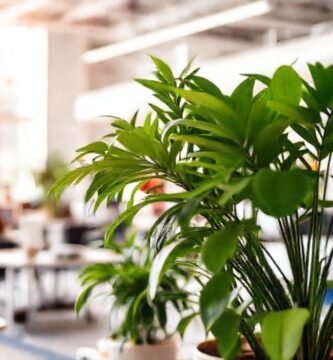 Espacio de trabajo moderno y creativo