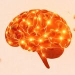 Un cerebro saludable y enfocado brilla