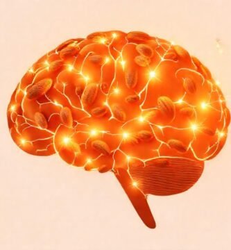Un cerebro saludable y enfocado brilla