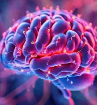 El cerebro aprende a través de colores