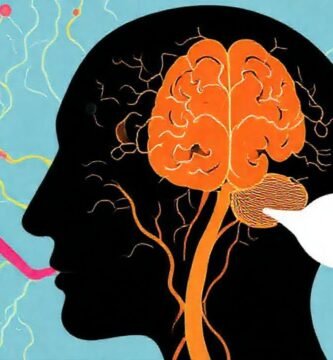 El cerebro crea comunicación clara y vívida