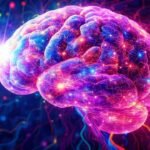 El cerebro digital es creatividad vibrante