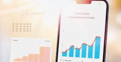 Aplicación productiva