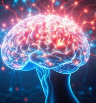 El conocimiento emerge de conexiones mentales
