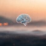 Un cerebro digital sereno y luminoso