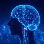 Escaneo cerebral: calma digital y minimalista