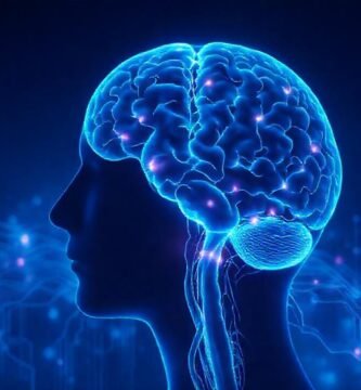 Escaneo cerebral: calma digital y minimalista