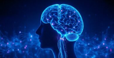 Escaneo cerebral: calma digital y minimalista