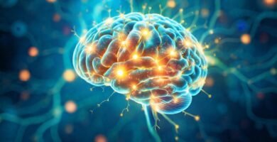 El cerebro sano irradia energía y optimismo