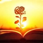 El progreso florece en calma y luz