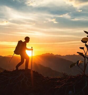 La vida florece con determinación y esperanza