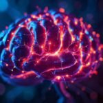 Sinapsis cerebrales brillan