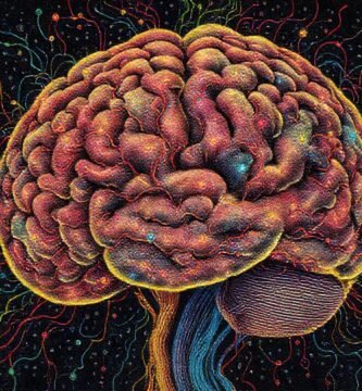 El cerebro conecta datos con memoria